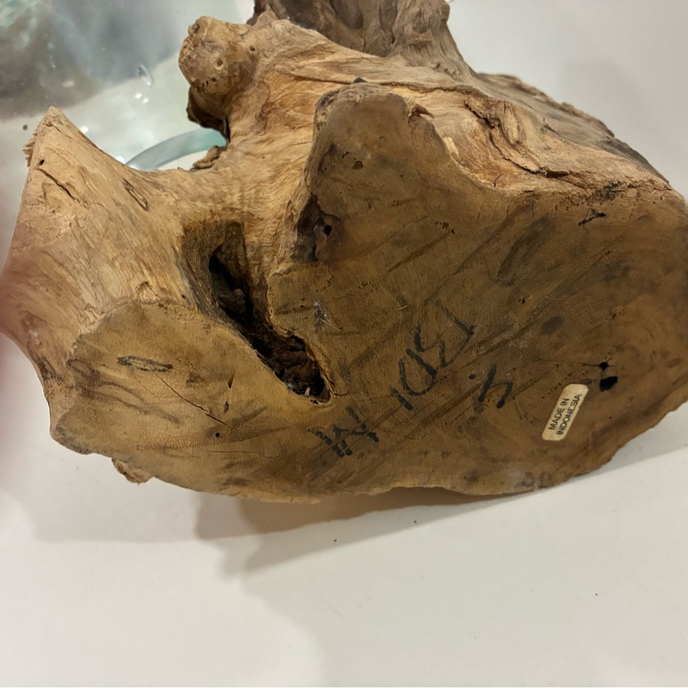 Atrium/Fishbowl Glass Teak Burl Wood Fishbowl/Airplant Display
Molten Glass - Picture 13 of 14